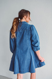 Daydream In Denim Dress