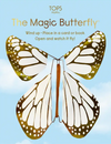 Magic Butterfly