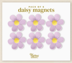 Daisy Magnet Delight