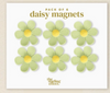 Daisy Magnet Delight