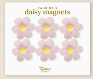 Daisy Magnet Delight