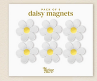 Daisy Magnet Delight