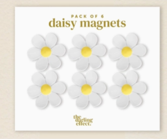 Daisy Magnet Delight