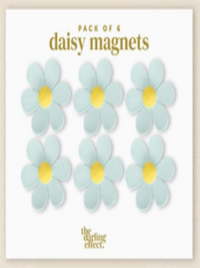 Daisy Magnet Delight